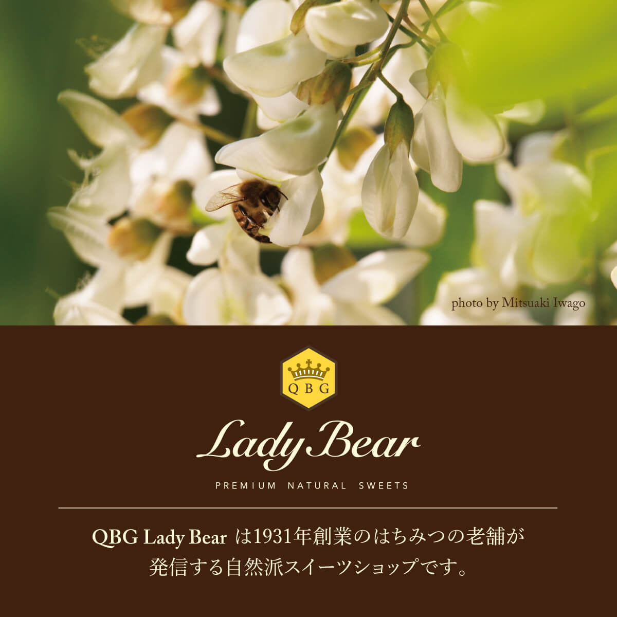 QBG Lady Bearは1931年創業のはちみつの老舗が発信する自然派スイーツショップです。