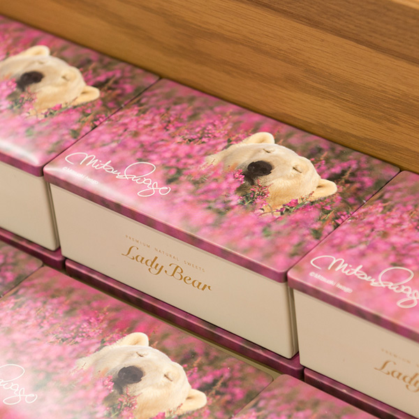 Lady Bear缶
