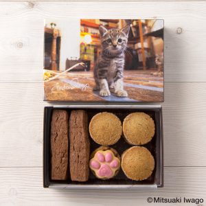 岩合光昭 世界のネコ クッキーアソート「イングランドのネコ」